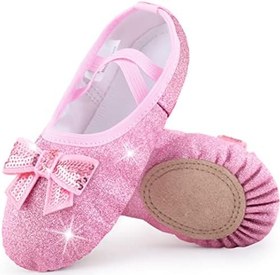 Resim DANSHOW Kız Bale Ayakkabıları Bölünmüş Taban Parlak Düz Dans Ayakkabıları Çocuklar İçin Bale Terlikleri (WX55-08-34) 34 ABL 