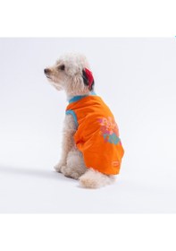 Resim Orange-turuncu All Good Days Kedi Köpek Tişörtü-kedi Köpek Kıyafeti 