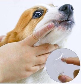 Resim Kedi Köpek Parmak Diş Fırçası Kutulu Evcil Hayvan Diş Fırçası 