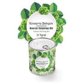 Resim Mcg® Konserve Bahçem Evde Konservede Iri Yapraklı Kıvırcık Yetiştirme Kiti 
