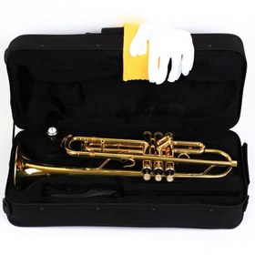 Resim Fox TP2000-G Gold Trompet 