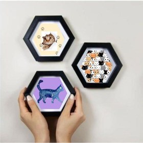 Resim Kedi Tasarımlı 3 Lü Altıgen Çerçeve 