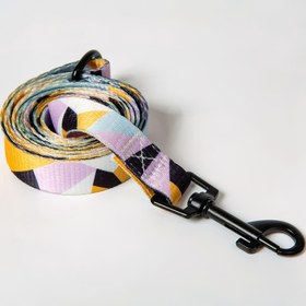 Resim Boho Style Köpek Tasma Ayarlanabilir Köpek Çekiş HalatıHızlı Serbest Bırakma Güvenlik Tokası ile Güçlü Kumaş Pet Yürüyüş Tasma Küçük Orta Büyük Köpekler için 
