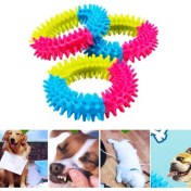 Resim Köpek Isırma Diş Kaşıma Çemberi 