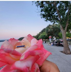 Resim Kalın Çizgi Kişiselleştirilebilir Tasarım-Isim Harf Yazılabilir G 552950147 