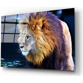 Resim Miyrem Glasses Collection -a1^ Aslan 2 Cam Tablo 