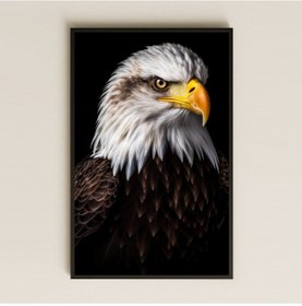 Resim Kartal Portresi Hiperrealist Şeffaf Pleksi Tablo 