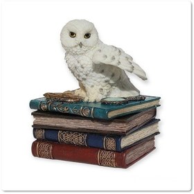 Resim Dekoratif Baykuş Mücevher Takı Kutusu 