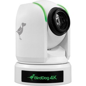Resim BirdDog P4K 4K Full NDI PTZ Camera (White) 