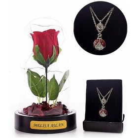 Resim Kişiye Özel Fanusta Led Işıklı Kırmızı Gül Ve Uğur Böceği Kolye 