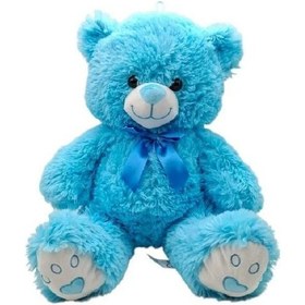 Resim 40 Cm Renkli Pelüş Ayı 1575 Çok Renkli 