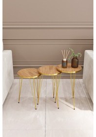 Resim Zigon Sehpa 3'lü Yuvarlak Gold Tel Ayaklı Ceviz 