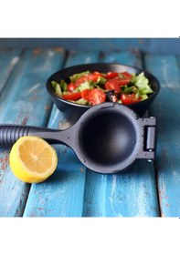 Resim Döküm Limon S ıkacağı 