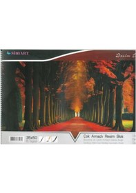 Resim Sim Karton Kapak Spr Resim Defteri 34x48 15 Yp 