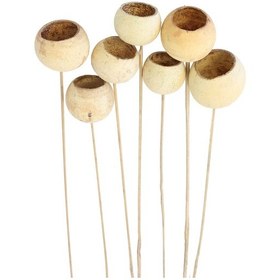 Resim Yapay Çiçek Deposu Dekoratif Bell Cup 7li Doğal Kabak 