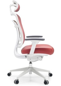 Resim Passion Oyuncu Koltuğu Ofis Çalışma Makam Koltuğu 