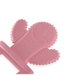 Resim Babyjem Diş Kaşıyıcı Kaktüs Pembe 
