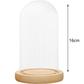 Resim Suntek Antika Koleksiyon Stil G Için Kubbe Cloche Çan Kavanoz 