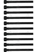 Resim REINZ 14-17517-2 Silindir Kapak Saplama Seti M10 (Renault: Megane IV 1.6 16V) 