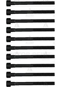 Resim REINZ 14-17517-2 Silindir Kapak Saplama Seti M10 (Renault: Megane IV 1.6 16V) 