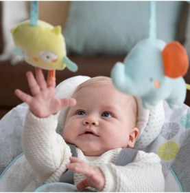 Resim Ingenuity Swing & Go Taşınabilir Salıncak 