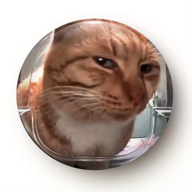 Resim Sevimli Kedi Tasarımı Broş - Çantalar ve Giysiler İçin Harika Plastik Eşya, İdeal Hediye Önerisi 