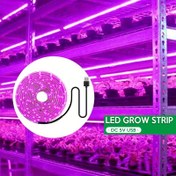Resim Fitolampy Tam Spektrumlu LED Yetiştirme Işık Şeridi, 60 Lümen/m, USB ile Çalışır - İç Mekan & Serada Bitki Büyümesi için İdeal, Pembe Işık Yayımı 