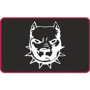 Resim Sevenkardeşler Cg Pitbull Siyah Far Filmi 