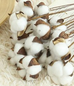 Resim Aker Hediyelik Doğal Pamuk Dalları 5 Adet 