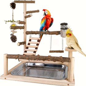 Resim Muhabbet kuşları, muhabbet kuşu ve kakadu kuşları için uygun biber ağacı çiğneme oyuncağı ve etkileşimli oyun standı ile Papağan Tünek 