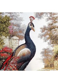 Resim Hayvan Serisi-08 Dokuma Goblen Kumaş-Tavus Kuşu Tek 
