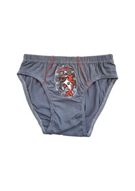 Resim Tutku Iç Giyim Erkek Çocuk Desenli Slip Külot 6 Lı Paket 