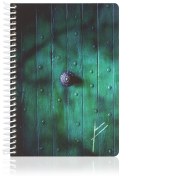 Resim HOBBIT BUTIK DEFTER 