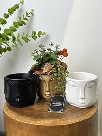 Resim Gold Adler Saksı (K) 