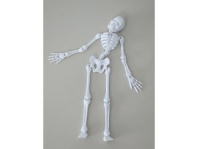 Resim Büyük Boy Iskelet Sallanan (20 Cm) Dmrz Home 