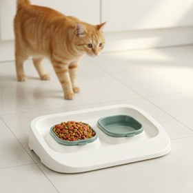 Resim Mikopet Yeşil 2'si 1 Arada Mama Ve Su Kabı 