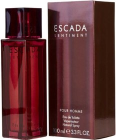 Resim Escada Sentiment Erkek Parfüm EDT 100 ML 