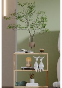 Resim Vortex Orta Sehpa Dekoratif Sehpa Çok Amaçlı Raf Ceviz 