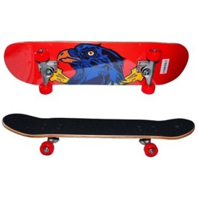 Resim Avessa Kaykay - Çok Renkli 