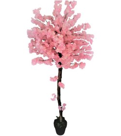 Resim Pembe Bahardalı Ağacı 1.90 Mt Boy Saksıda Pembe Yaz Ağacı Çiçek 