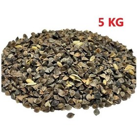 Resim Karabuğday Tohumu 5 Kg 