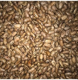 Resim Yerli Perolar UzunEnli Erkenci Sırık Fasulye Tohumu 500 GR 