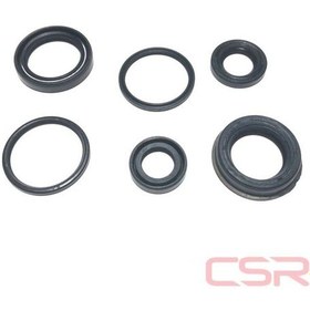 Resim Keçe 6'Lı Pep Tk Csr (490447965) 