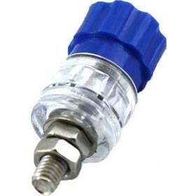 Resim Ic-240b Born Klemens Büyük Boy Mavi 