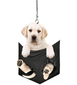 Resim Asılı Süsleme Akrilik Göz Alıcı Çekici Güzel Cep Köpek Anahtarlık Kolye Otomotiv Aksesuarları C 