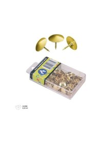 Resim Ark Gold Raptiye Altın Sarısı Raptiye 30 Gr Şeffaf Kutulu 2 Adet 