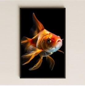 Resim Altın Japon Balığı Temalı Hiperrealist Şeffaf Pleksi Tablo 