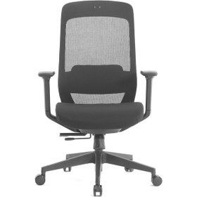 Resim Fileli Plastik Ayaklı Ofis Çalışma Koltuğu Siyah 