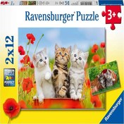 Resim Ravensburger 2x12 Parça Puzzle Yavru Kediler 076260 