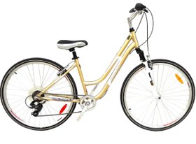 Resim Geotech Infinity 28 Woman Şehir Tur Bisikleti - Gold 